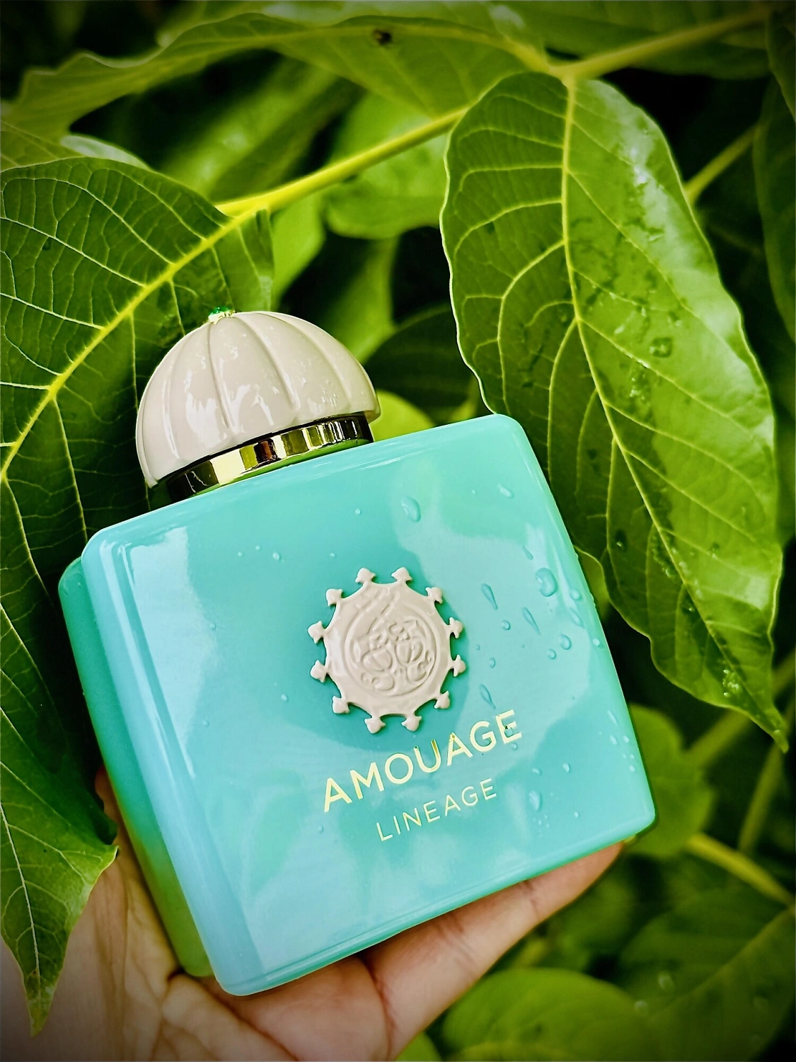 Amouage Lineage