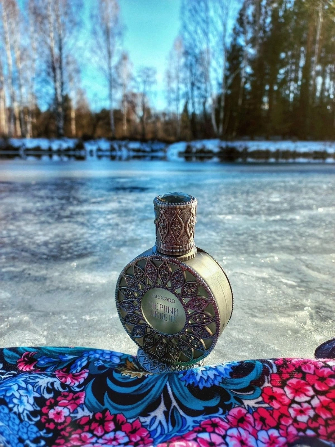 Brocard Черный лебедь