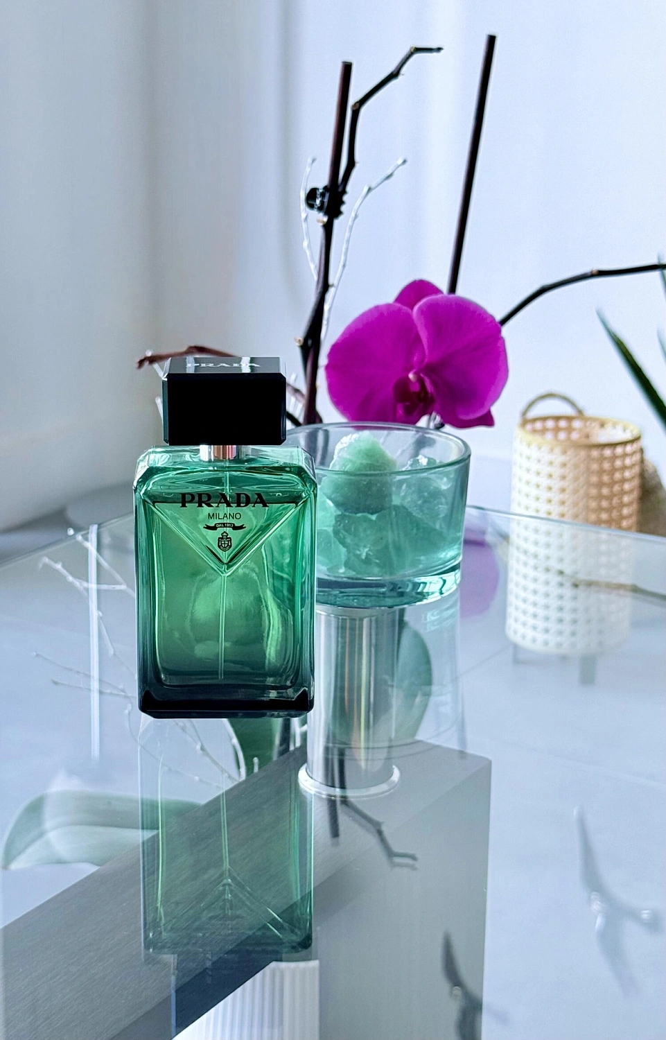 Prada Paradigme