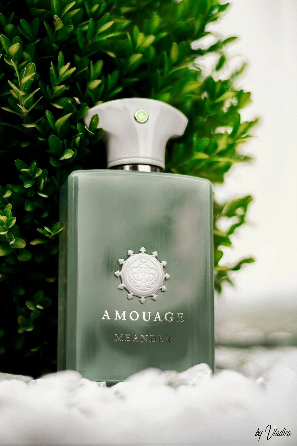 Amouage Meander