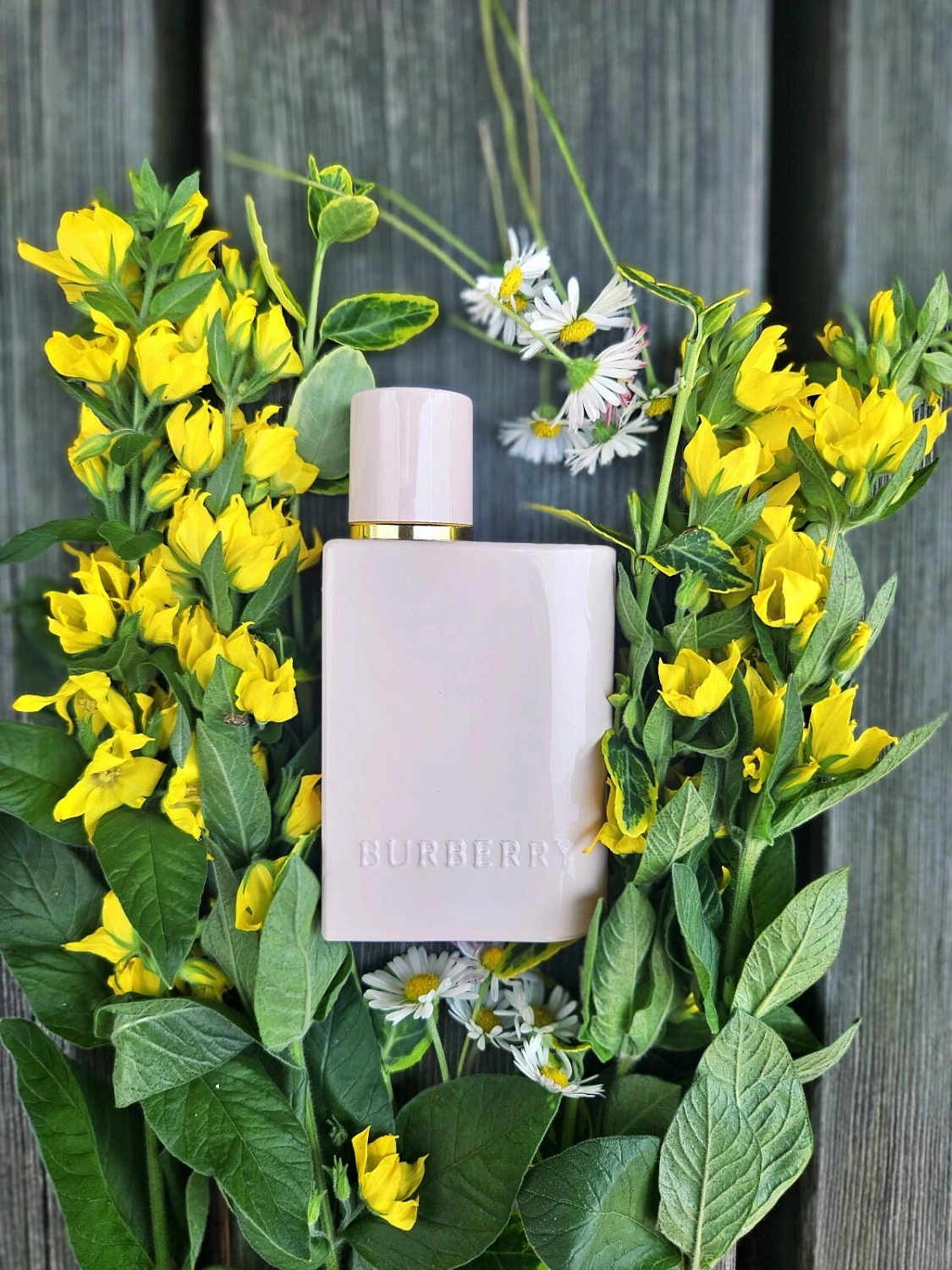 Burberry Her Elixir de Parfum