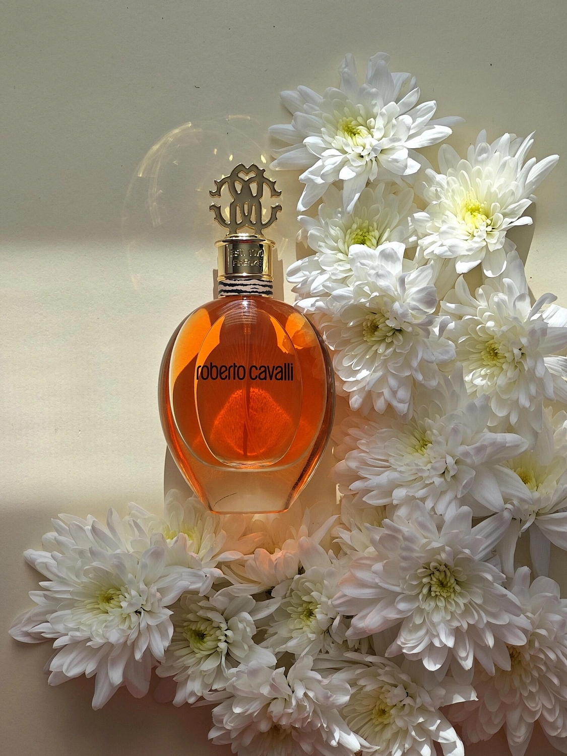 Roberto Cavalli Signature