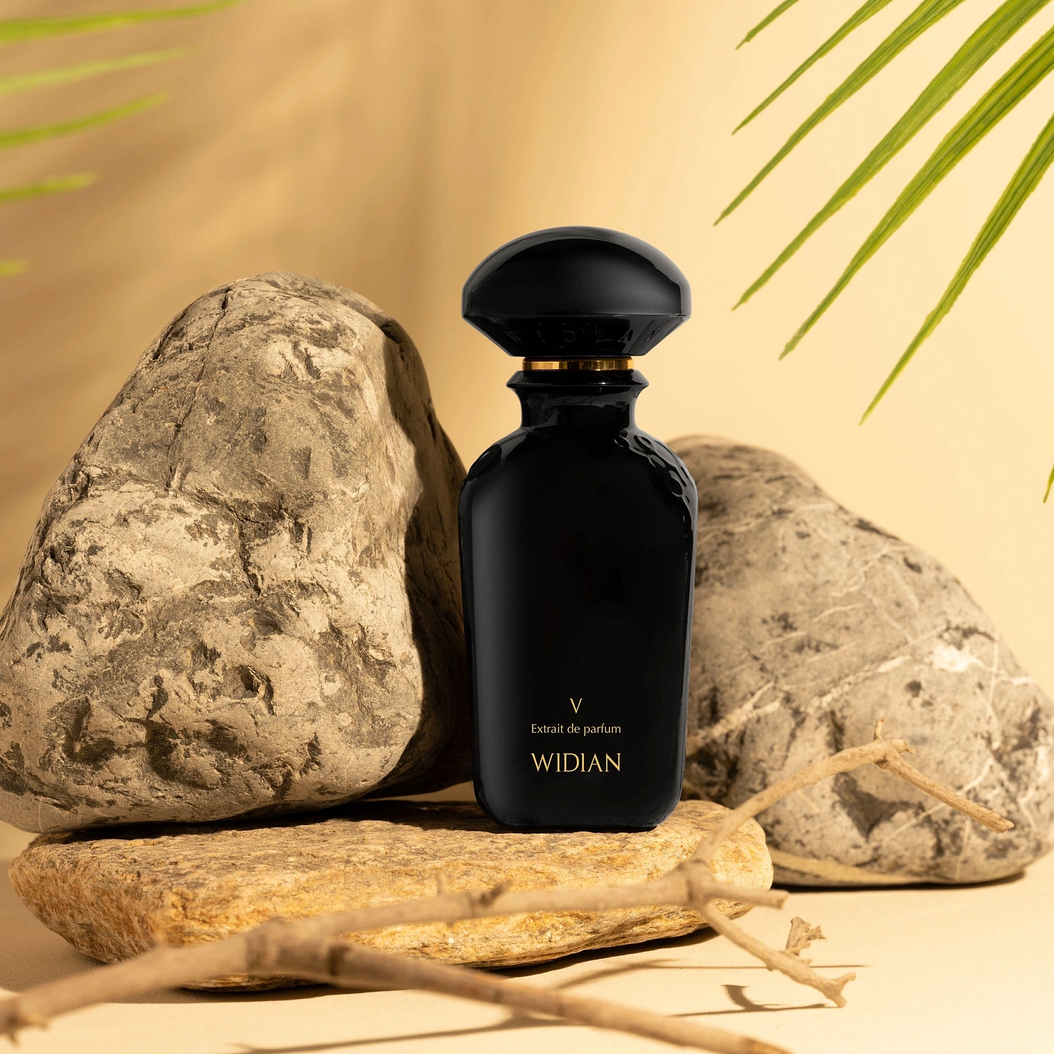AJ Arabia Widian Black V