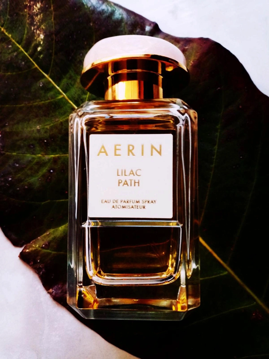 AERIN Lilac Path
