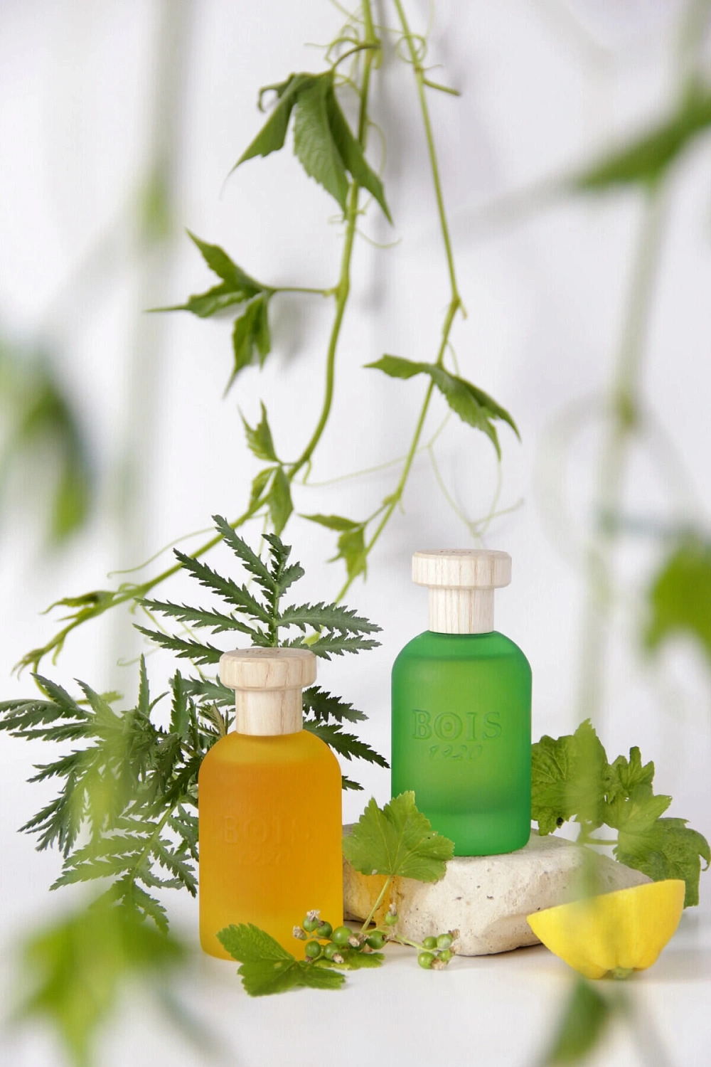 Bois 1920 Cannabis Fruttata