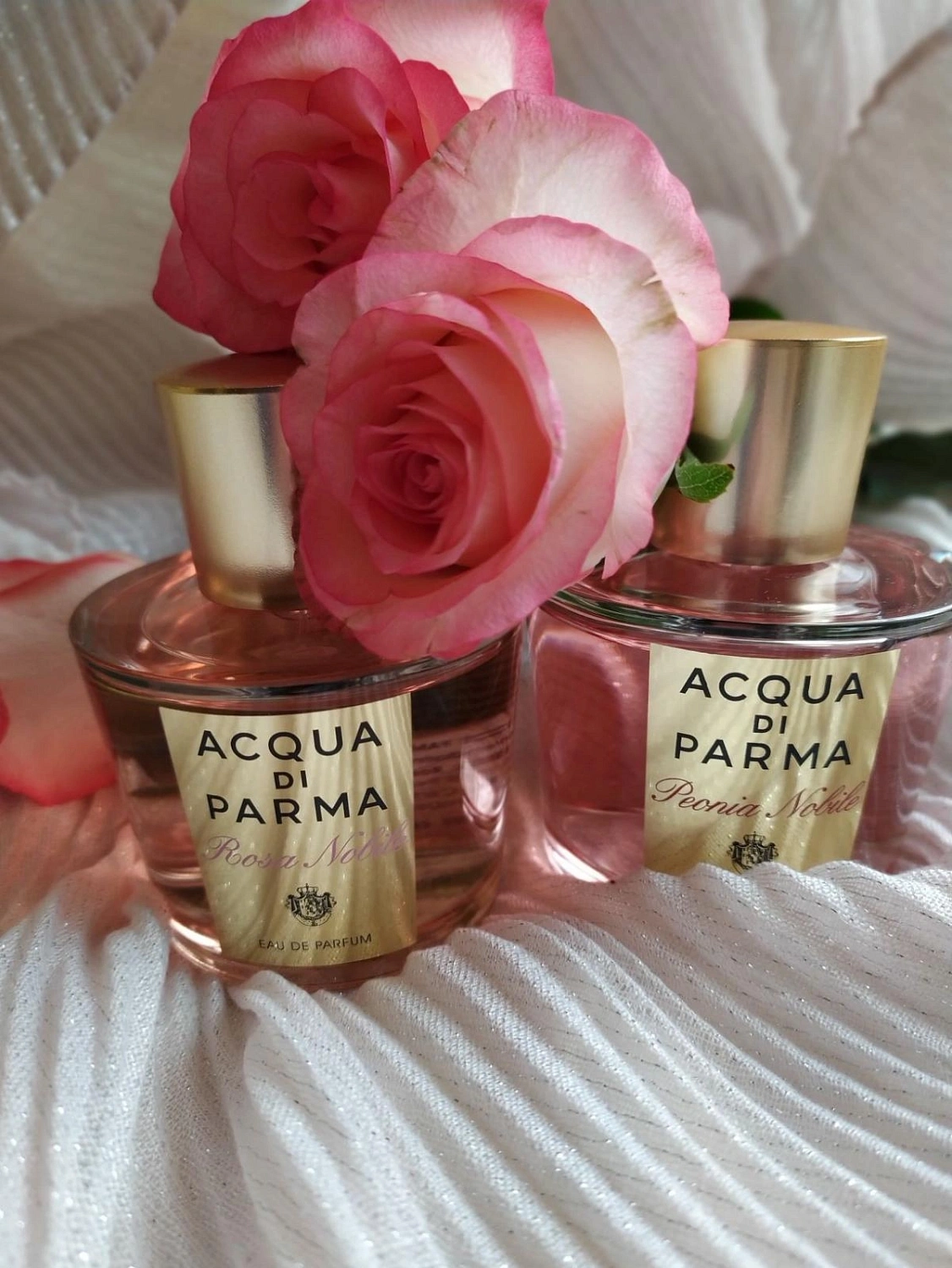 Acqua di Parma Peonia Nobile