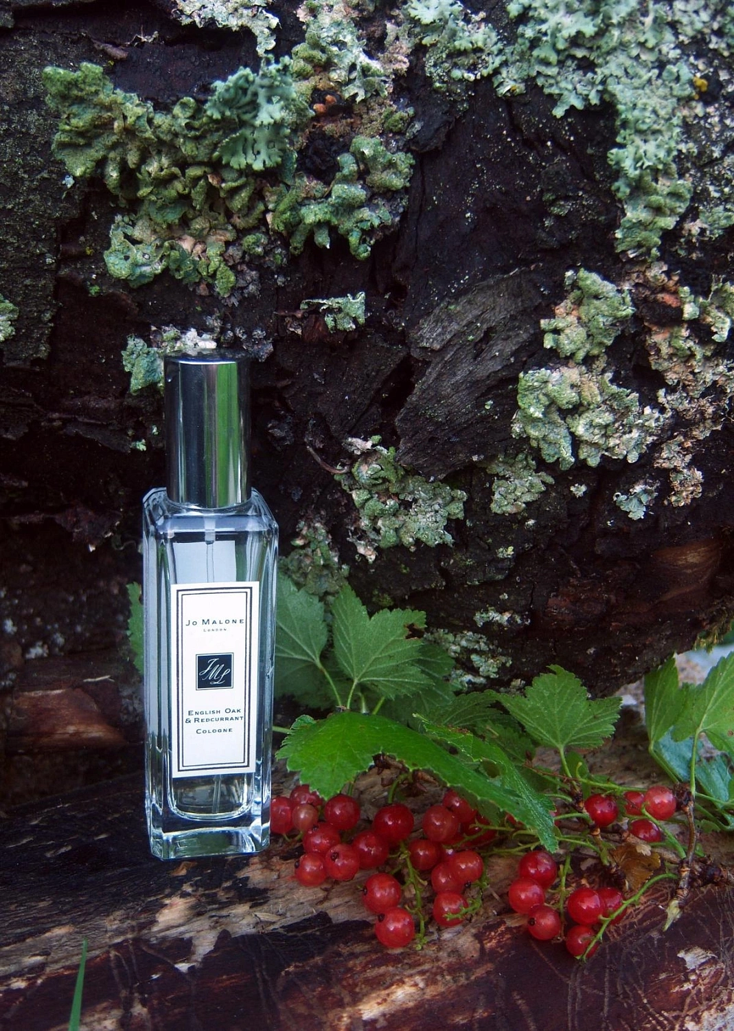 Jo Malone English Oak & Redcurrent