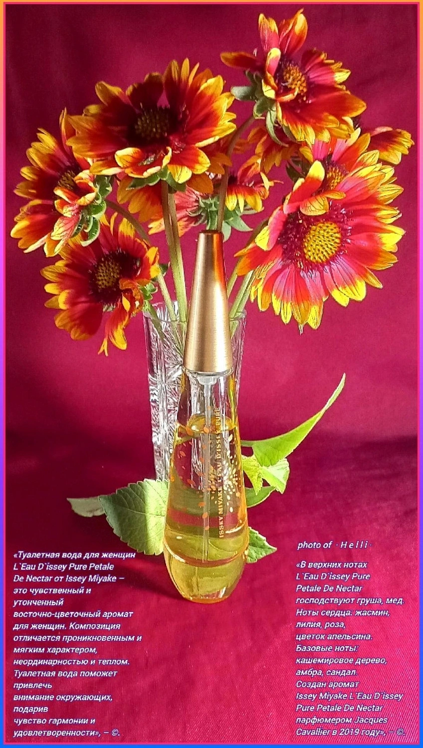 Issey Miyake L'Eau d'Issey Pure Petale de Nectar