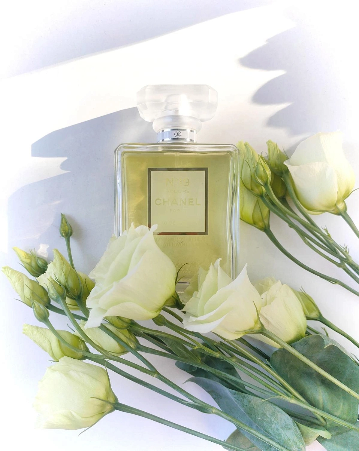 Chanel N°19 Poudre