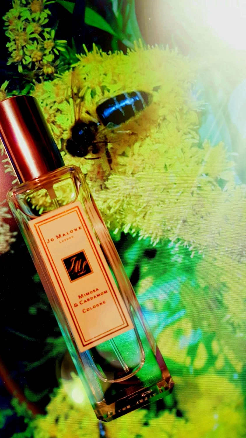 Jo Malone Mimosa & Cardamom