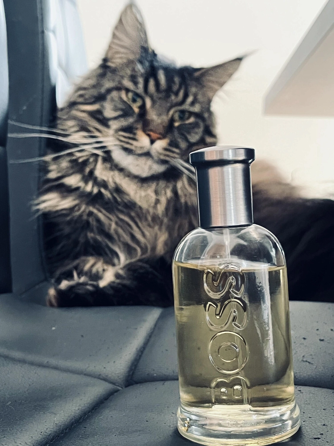 Hugo Boss Bottled (No.6)