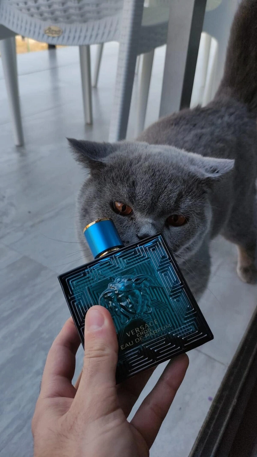 Versace Eros Eau De Parfum