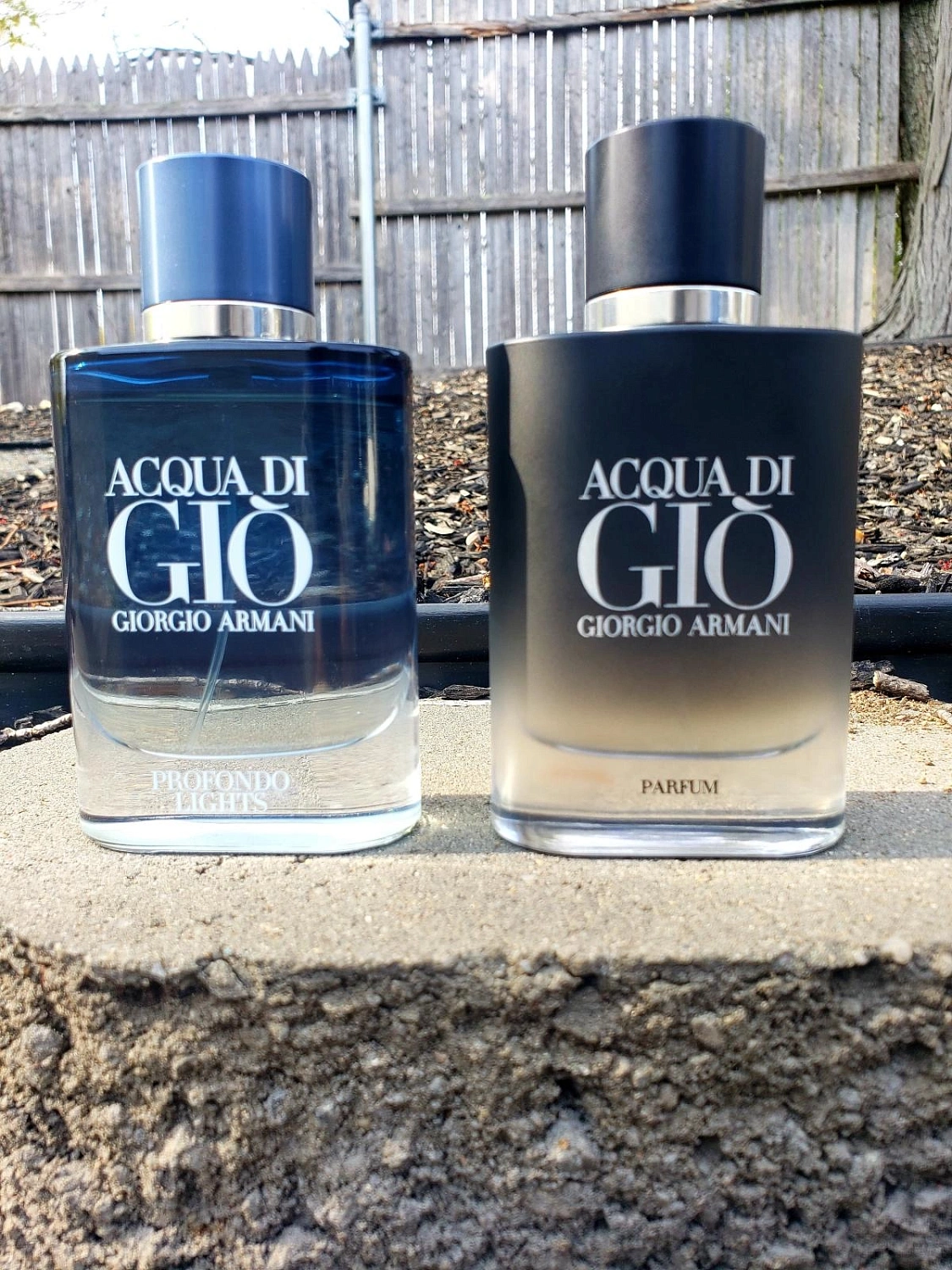 Armani Acqua di Gio Parfum