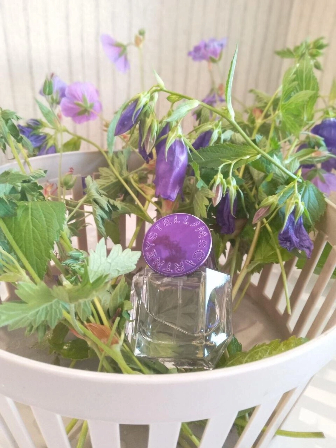 Stella McCartney Pop Bluebell