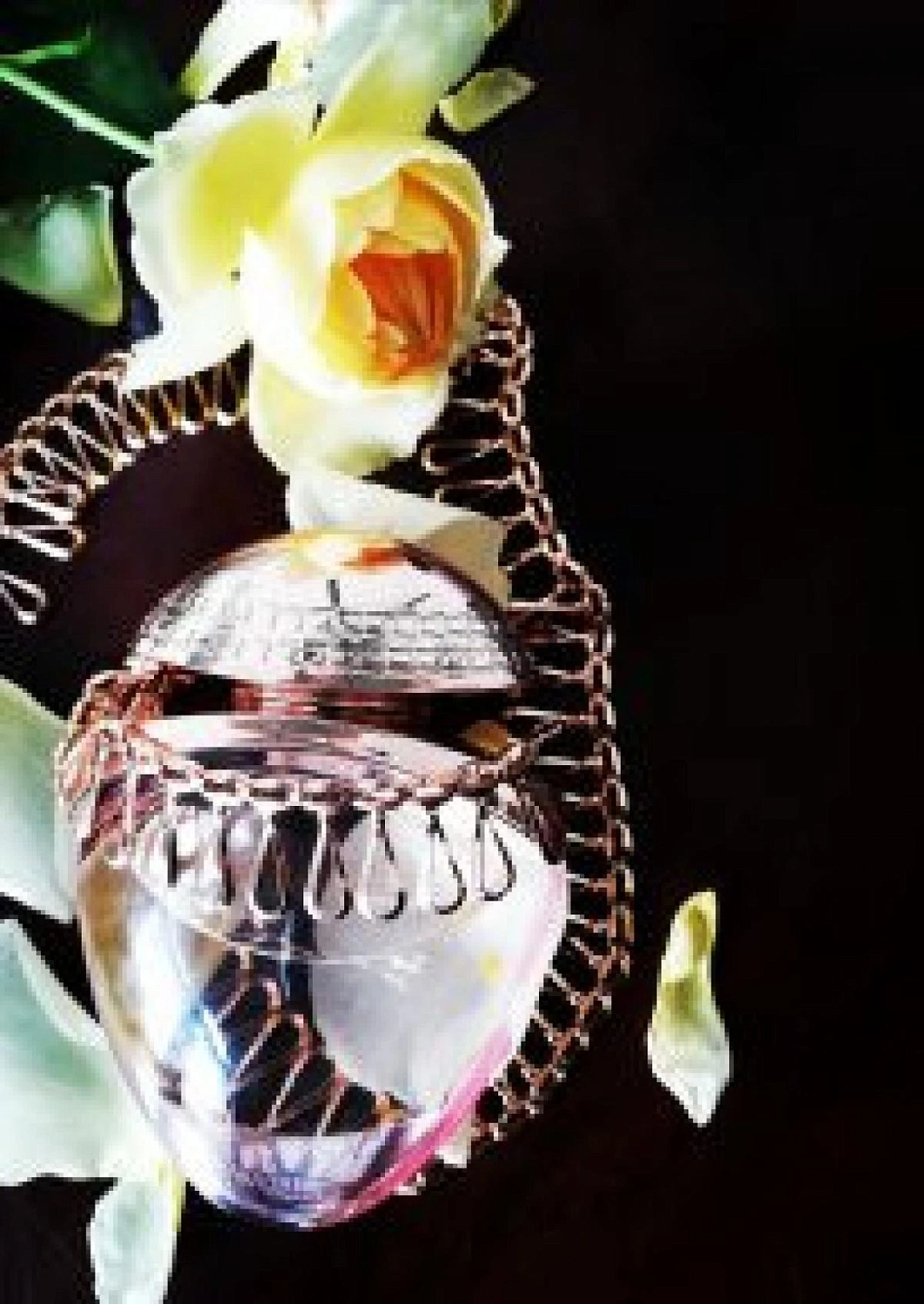 Bvlgari Rose Goldea