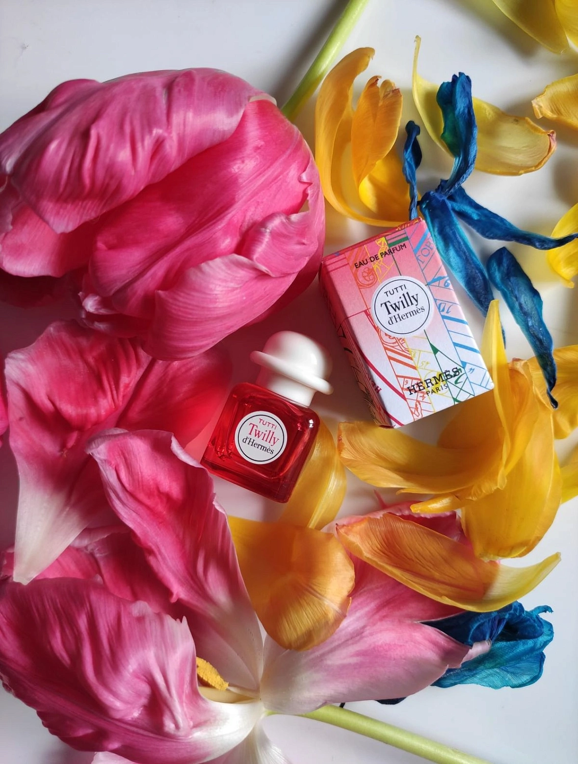 Tutti Twilly d'Hermès