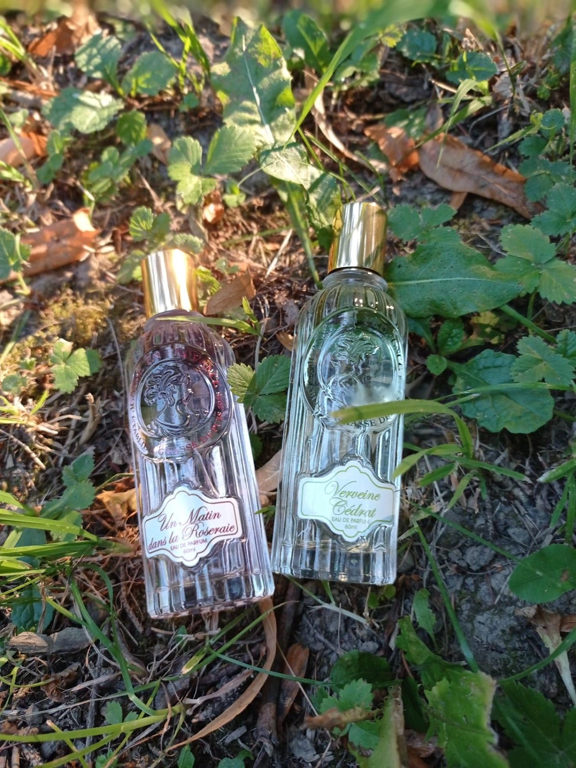 Jeanne en Provence Verveine Cedrat