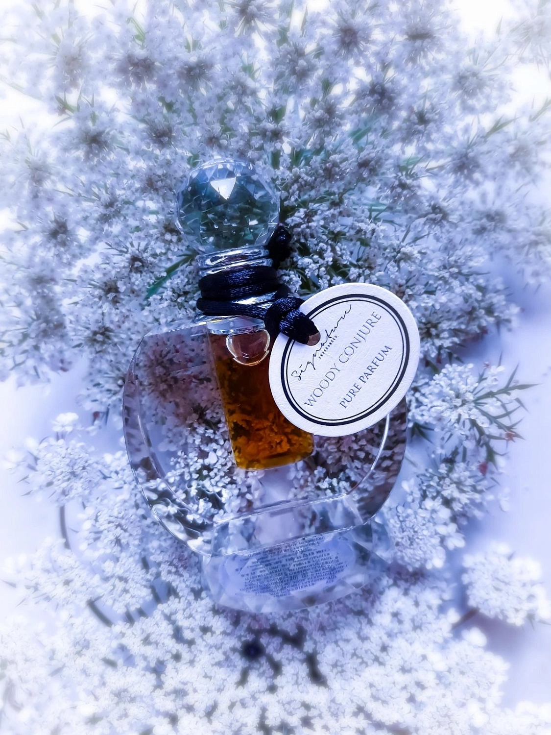 Signature Fragrances Woody Conjure