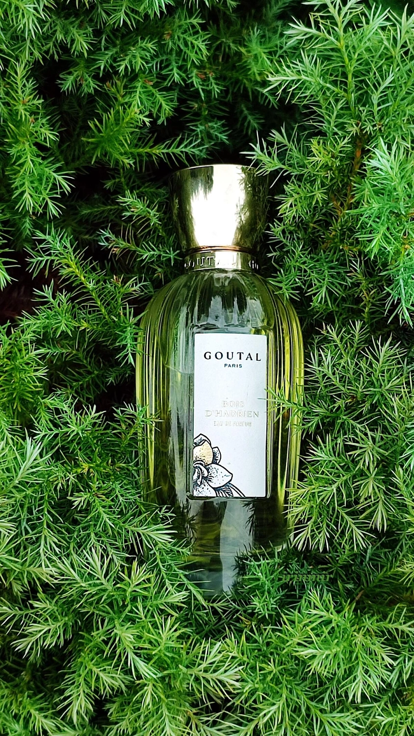Annick Goutal Bois d'Hadrien