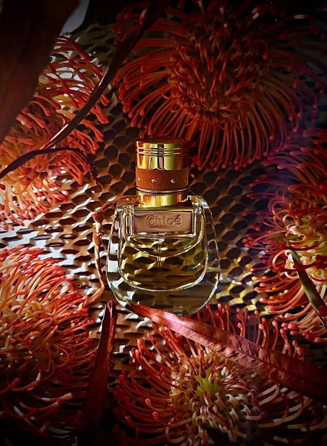 Chloé Nomade Absolu de Parfum