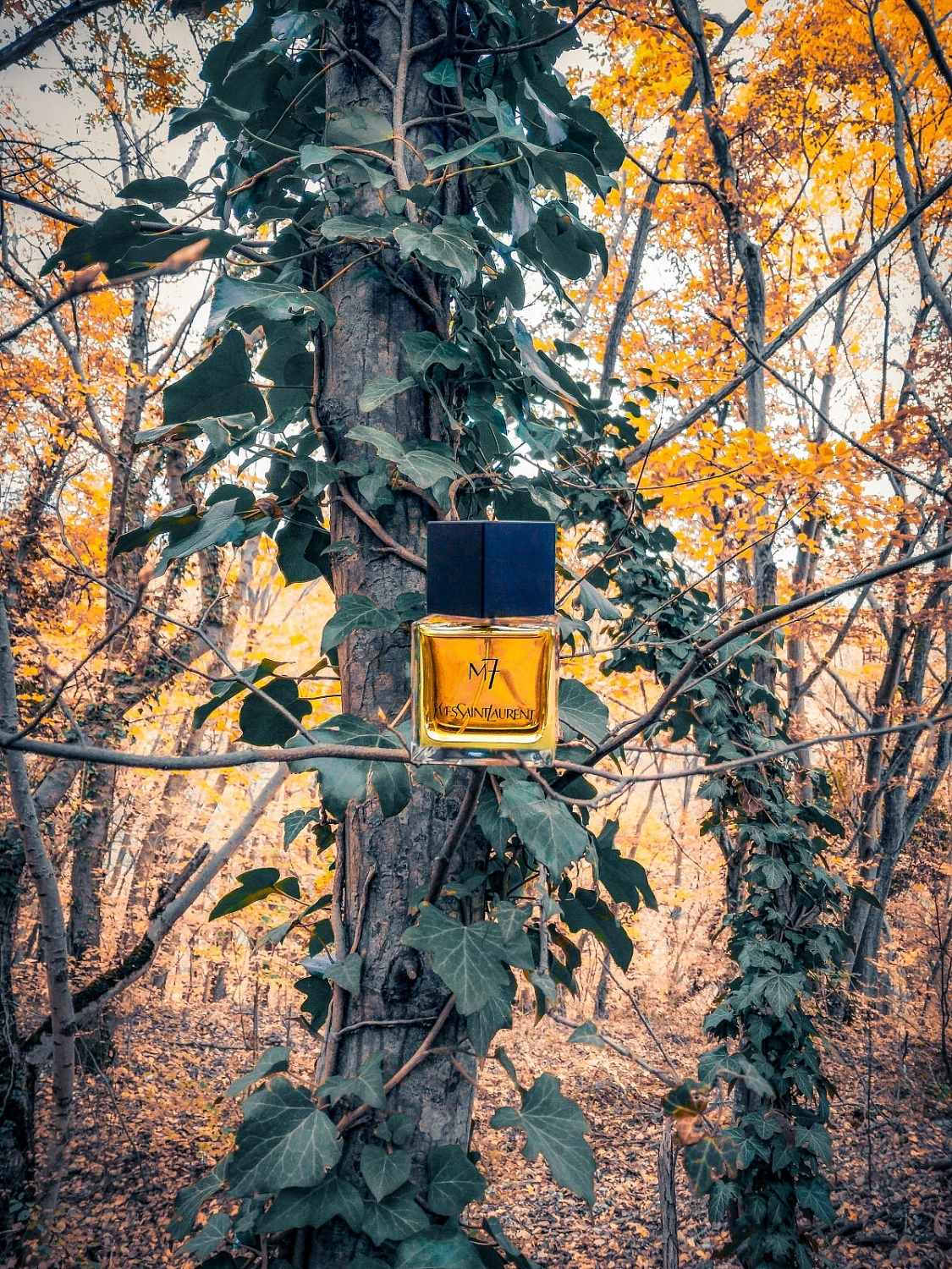 Yves Saint Laurent M7