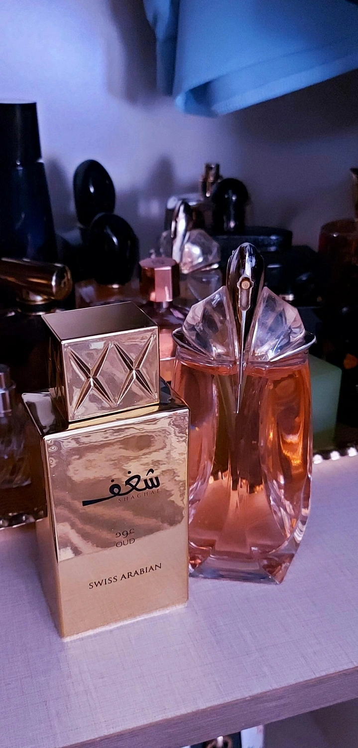 Swiss Arabian Shaghaf Oud