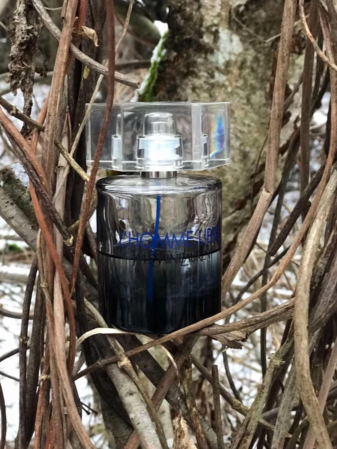 Yves Saint Laurent L'Homme Libre
