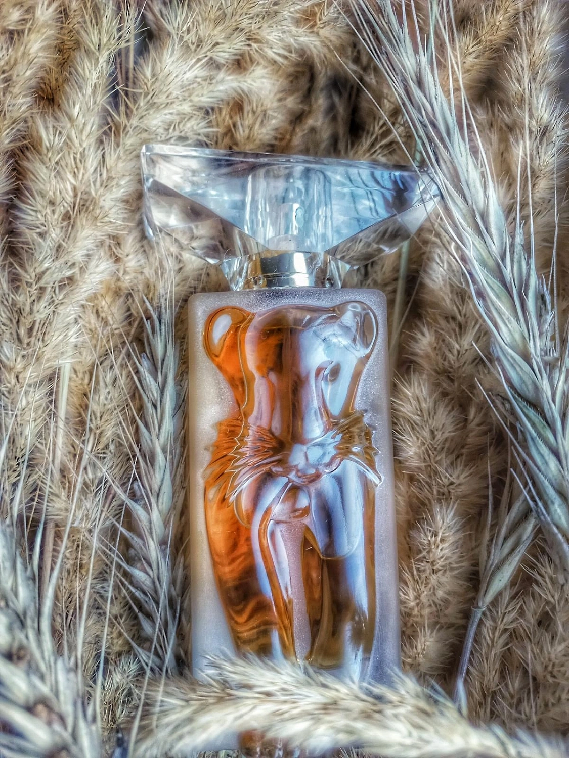 Salvador Dalí La Belle et l'Ocelot