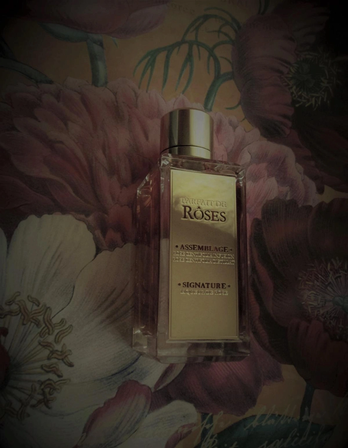 Lancôme Parfait de Roses