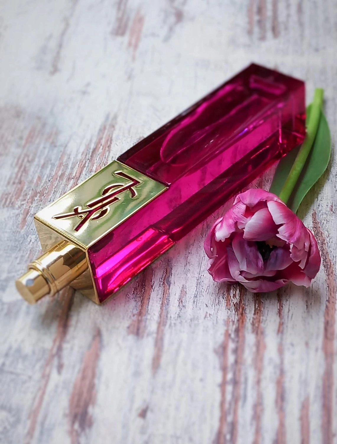 Yves Saint Laurent Elle