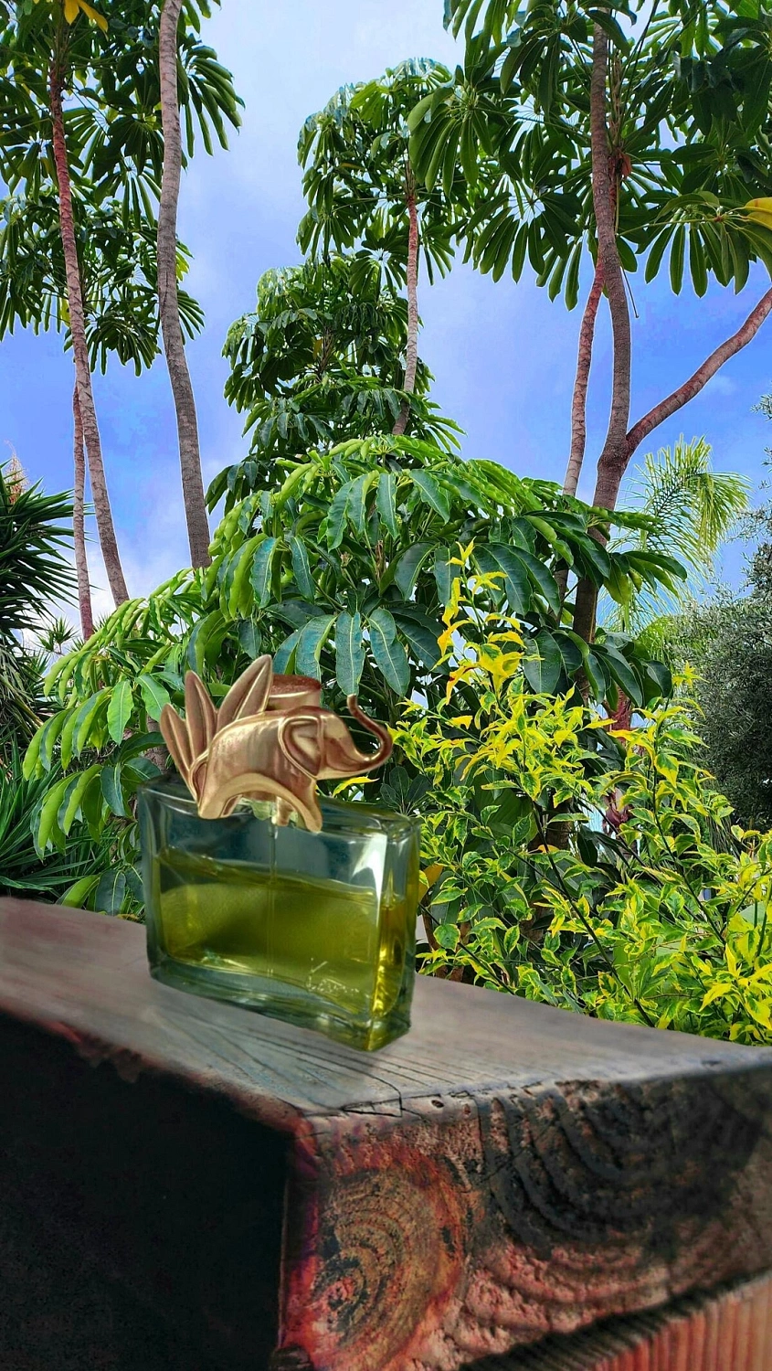 Kenzo Jungle L'elephant
