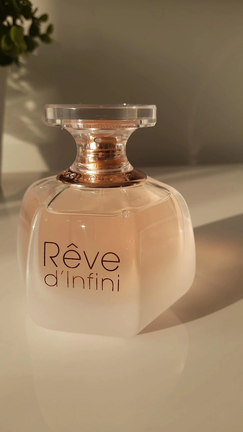 Lalique Reve d'Infini