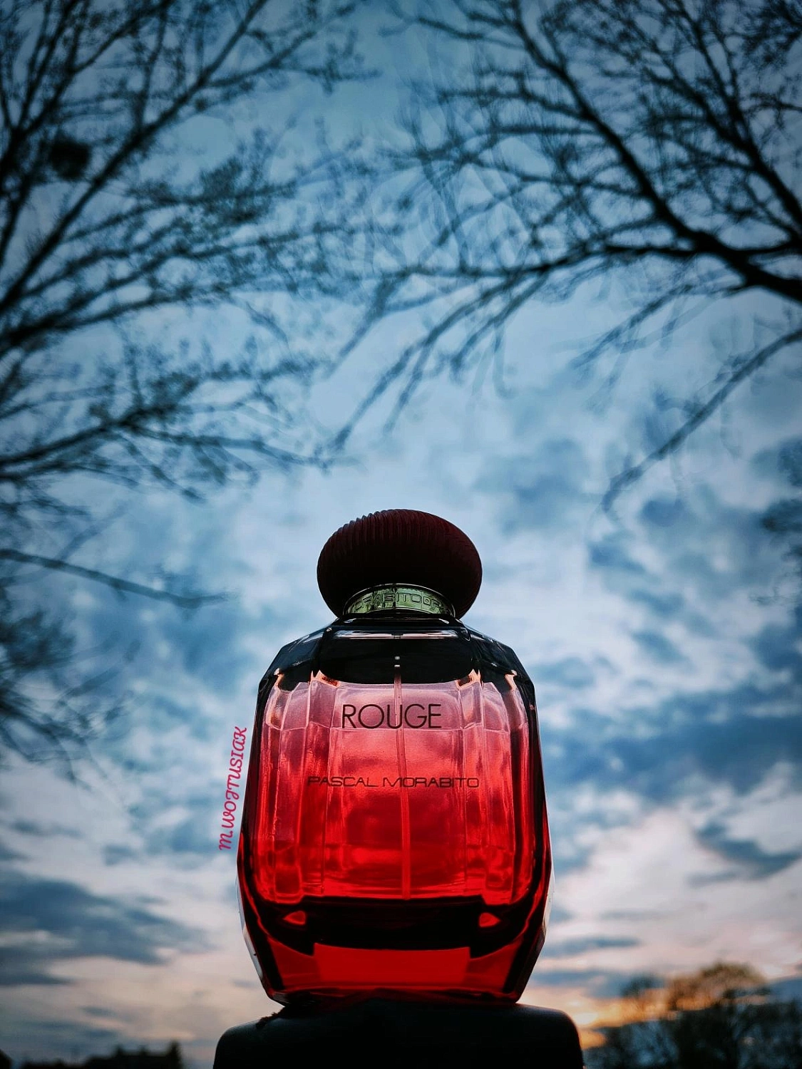 Pascal Morabito Rouge