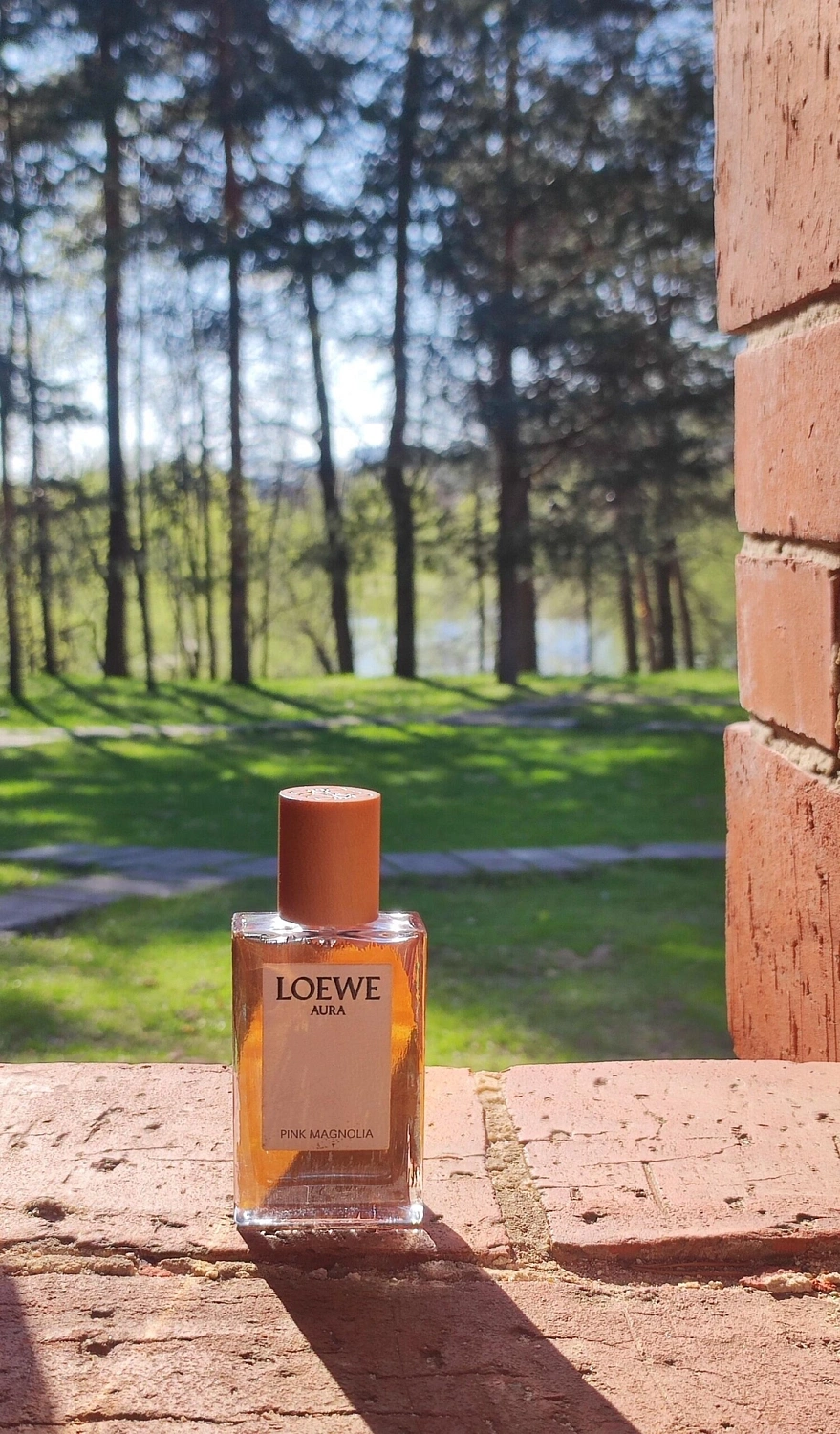 Loewe Aura Pink Magnolia