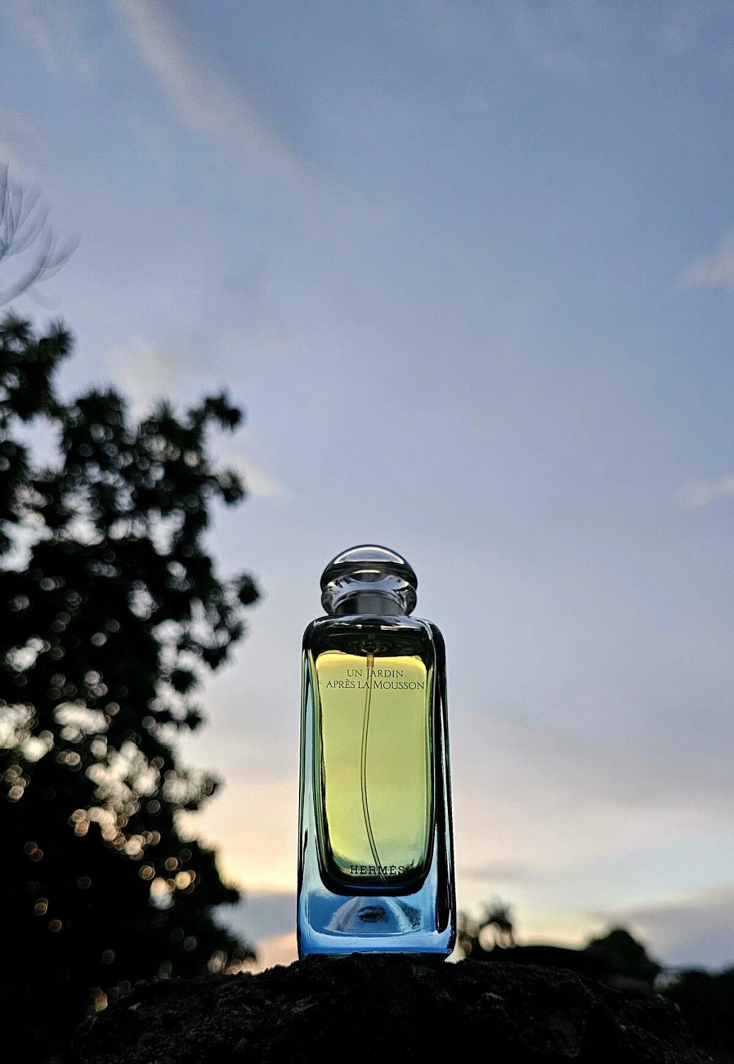 Hermès Un Jardin Apres La Mousson