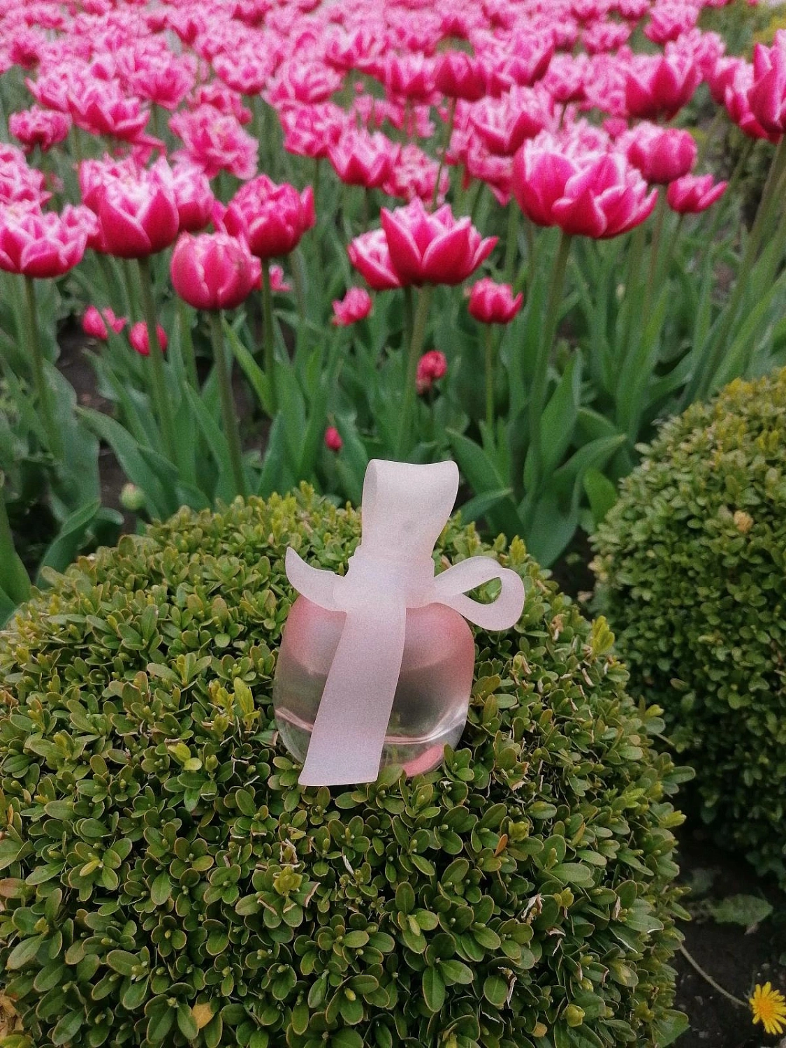 Nina Ricci Mademoiselle Ricci L'Eau