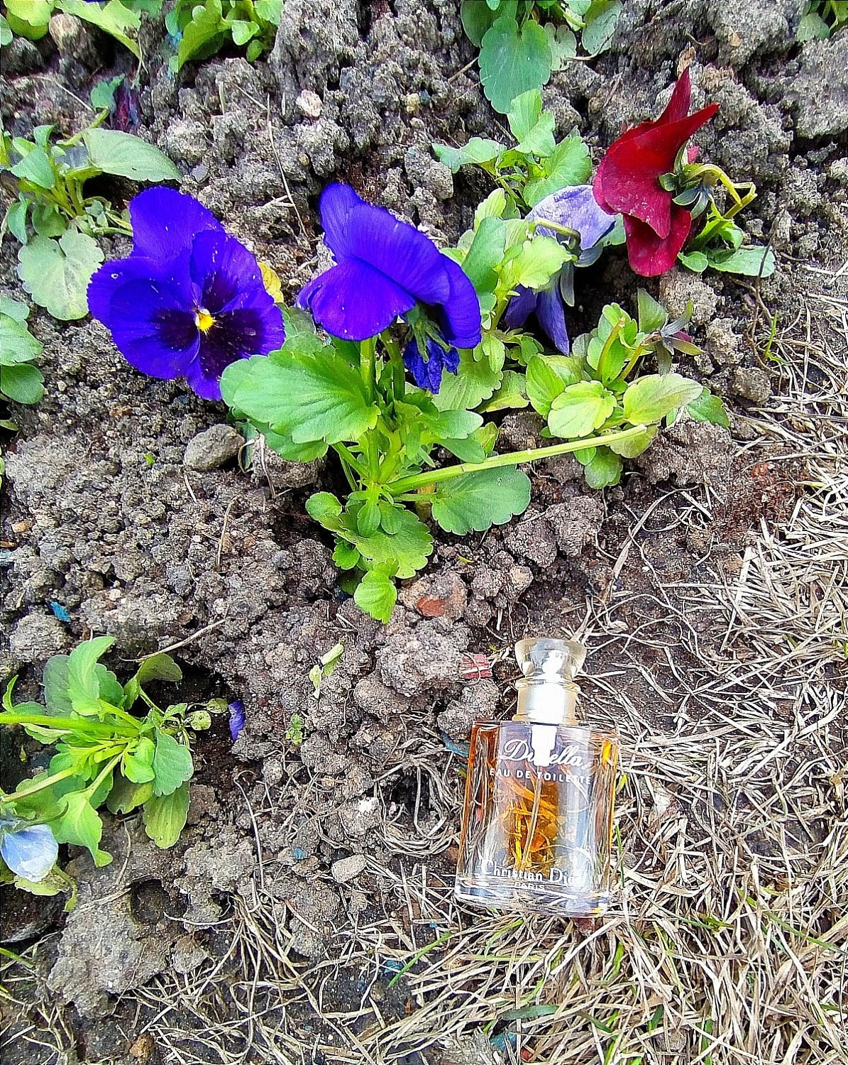 Christian Dior Diorella