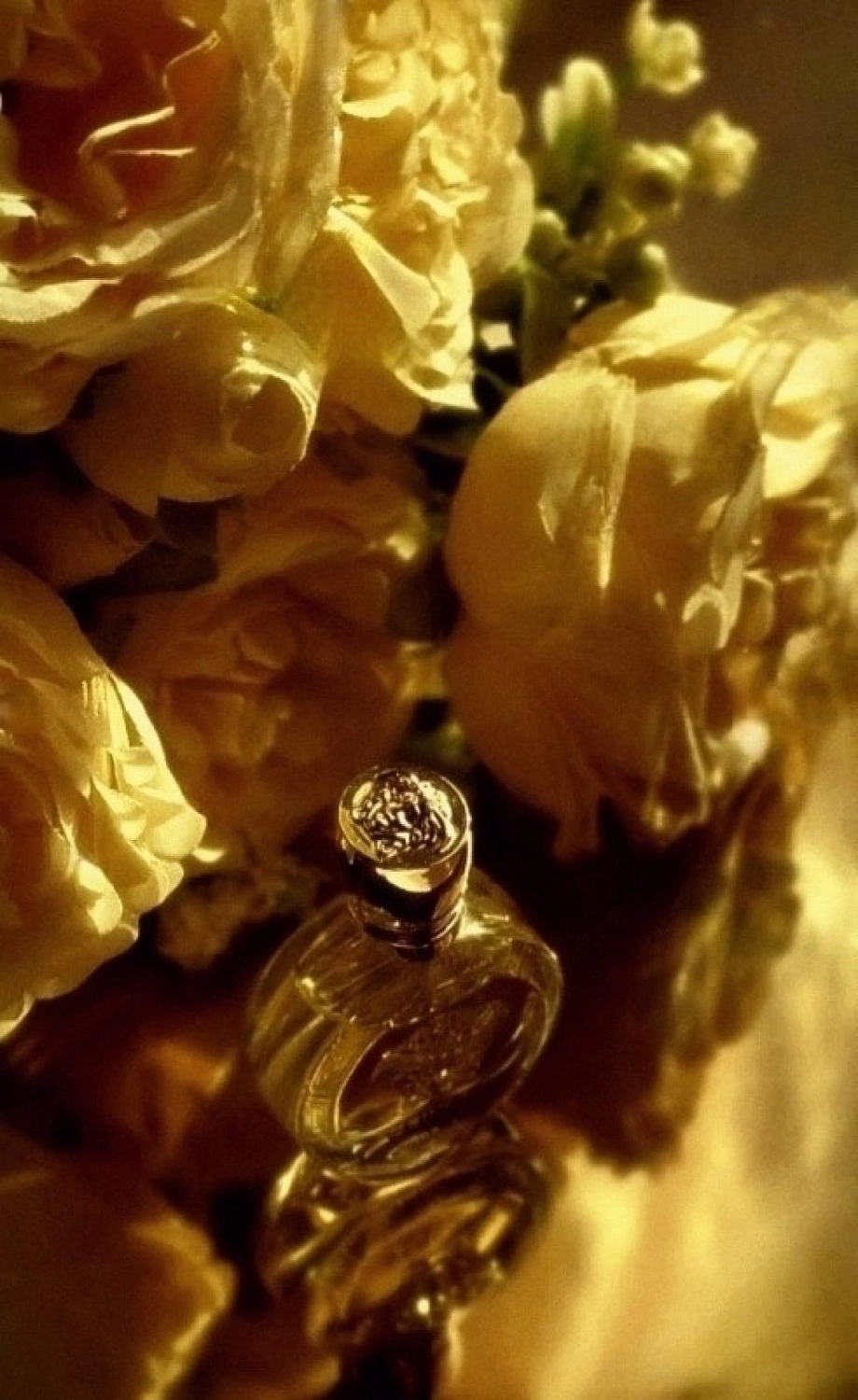 Versace Eros Pour Femme