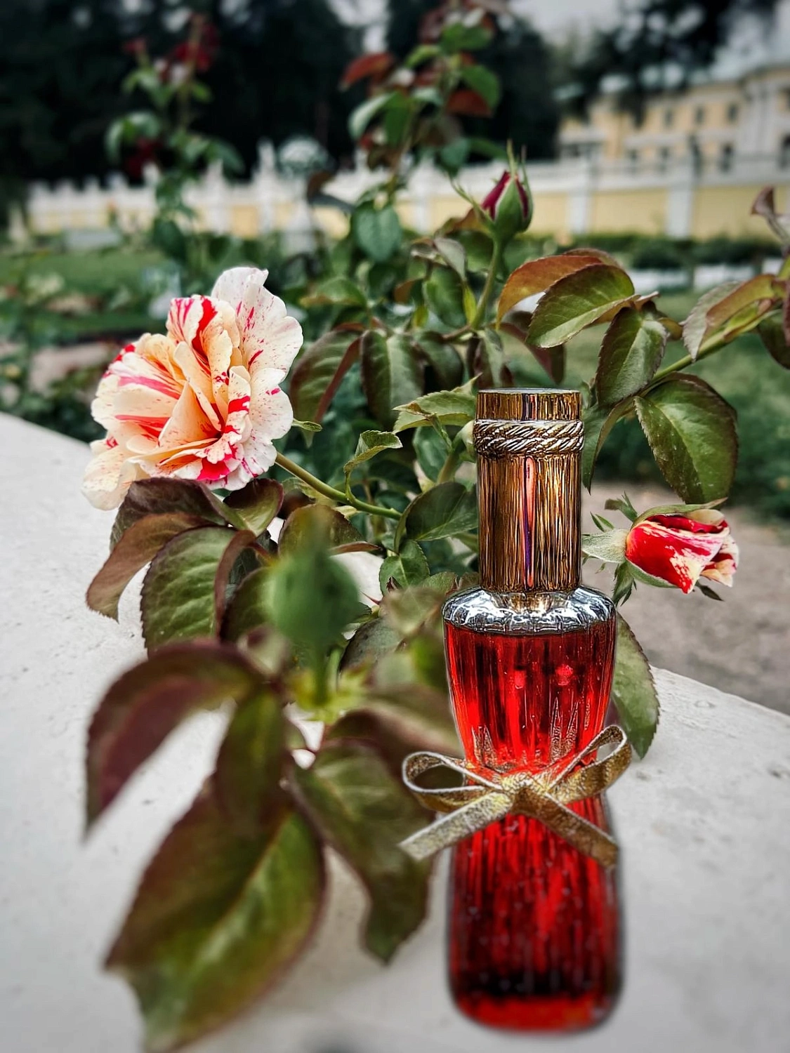 Estée Lauder Youth Dew