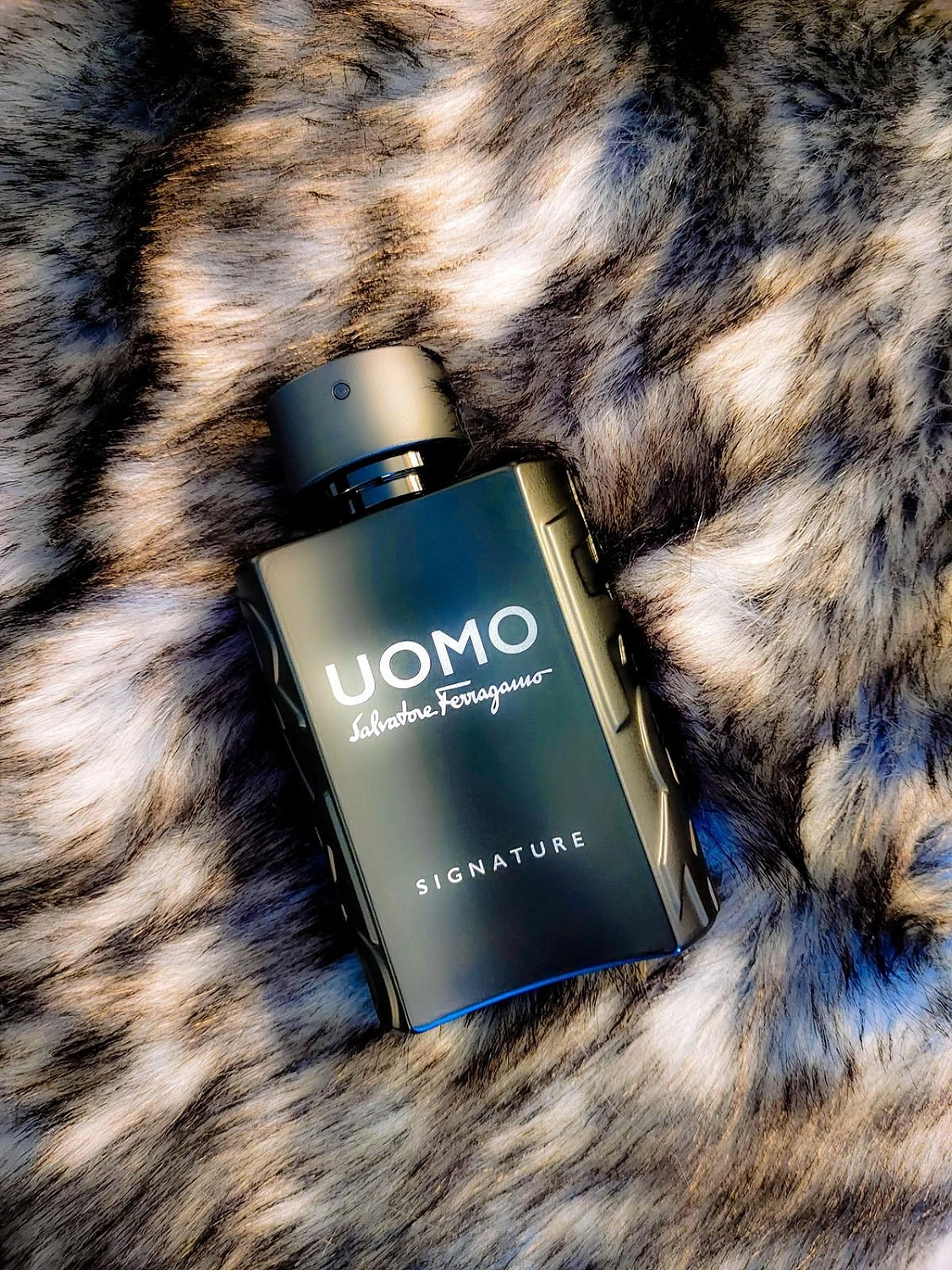 Uomo Salvatore Ferragamo Signature