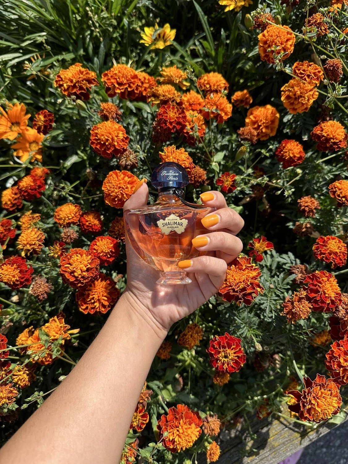 Guerlain Shalimar Millesime Jasmin