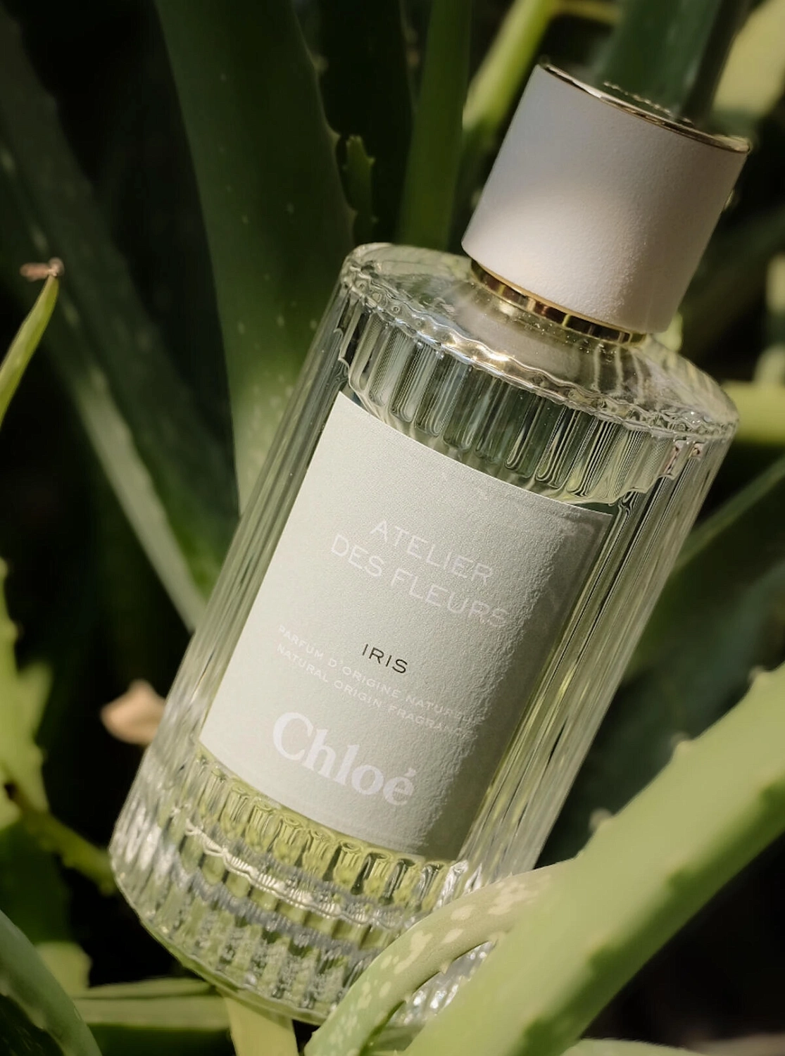 Chloé Atelier Des Fleurs Iris