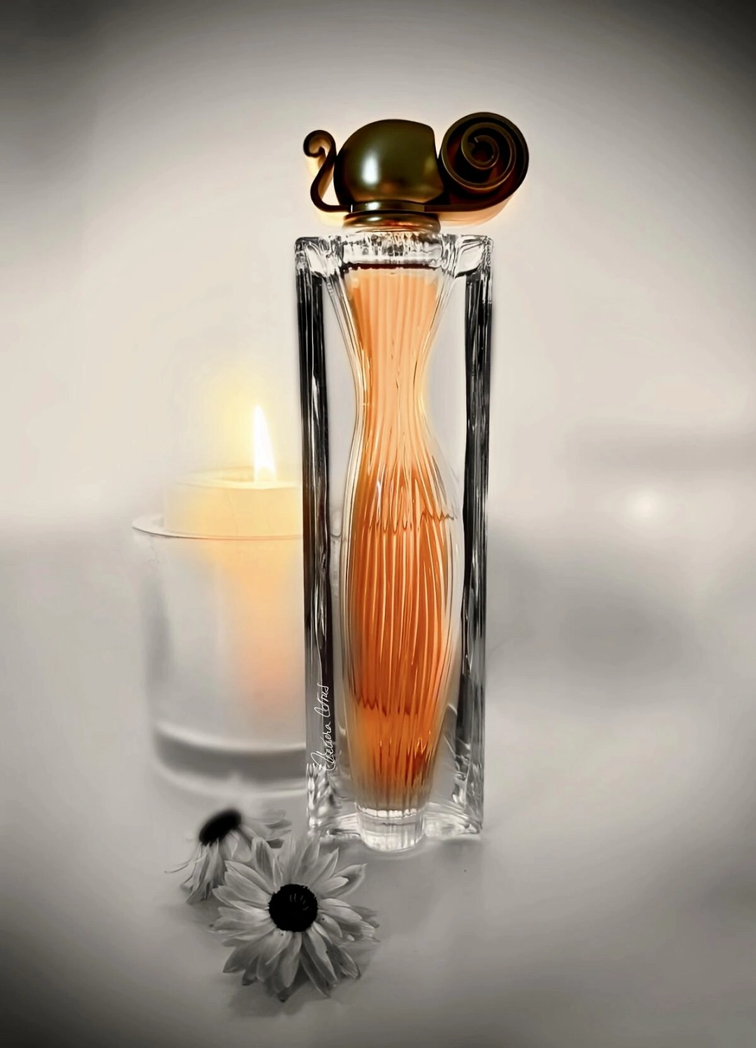 Givenchy Organza