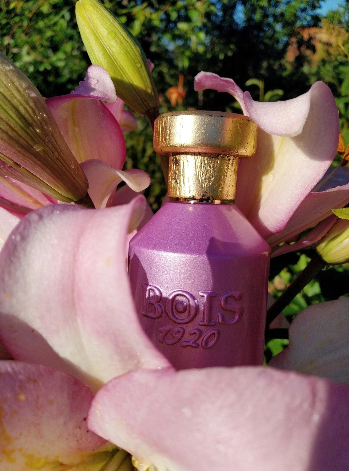 Bois 1920 La Vaniglia
