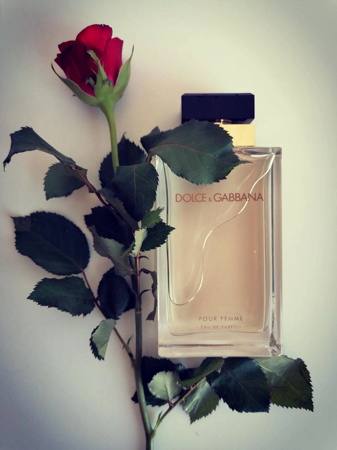Dolce & Gabbana Dolce&Gabbana Pour Femme