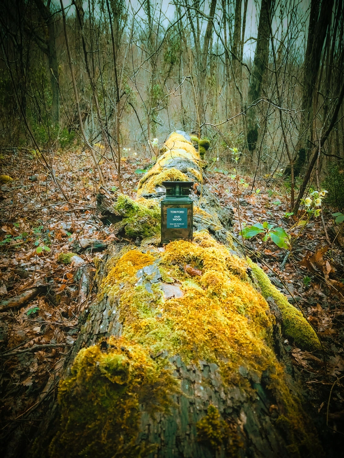 Tom Ford Oud Wood