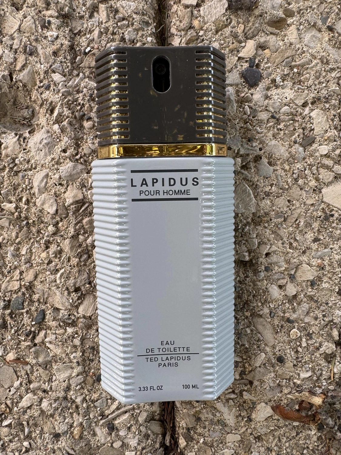 Ted Lapidus pour Homme