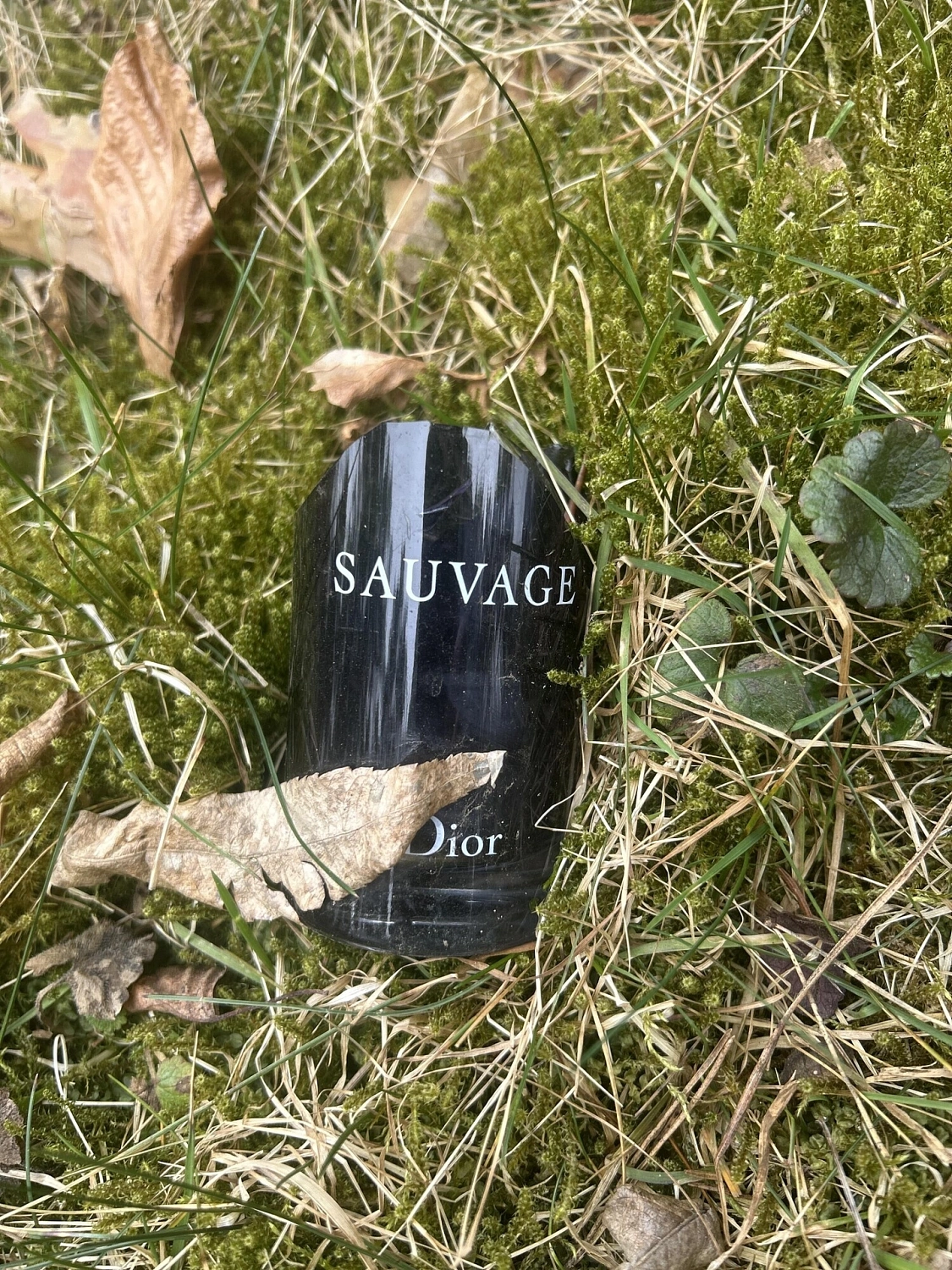 Christian Dior Sauvage 2015
