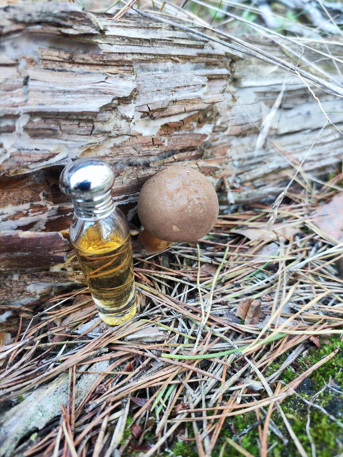 Laura Ashley L'Eau