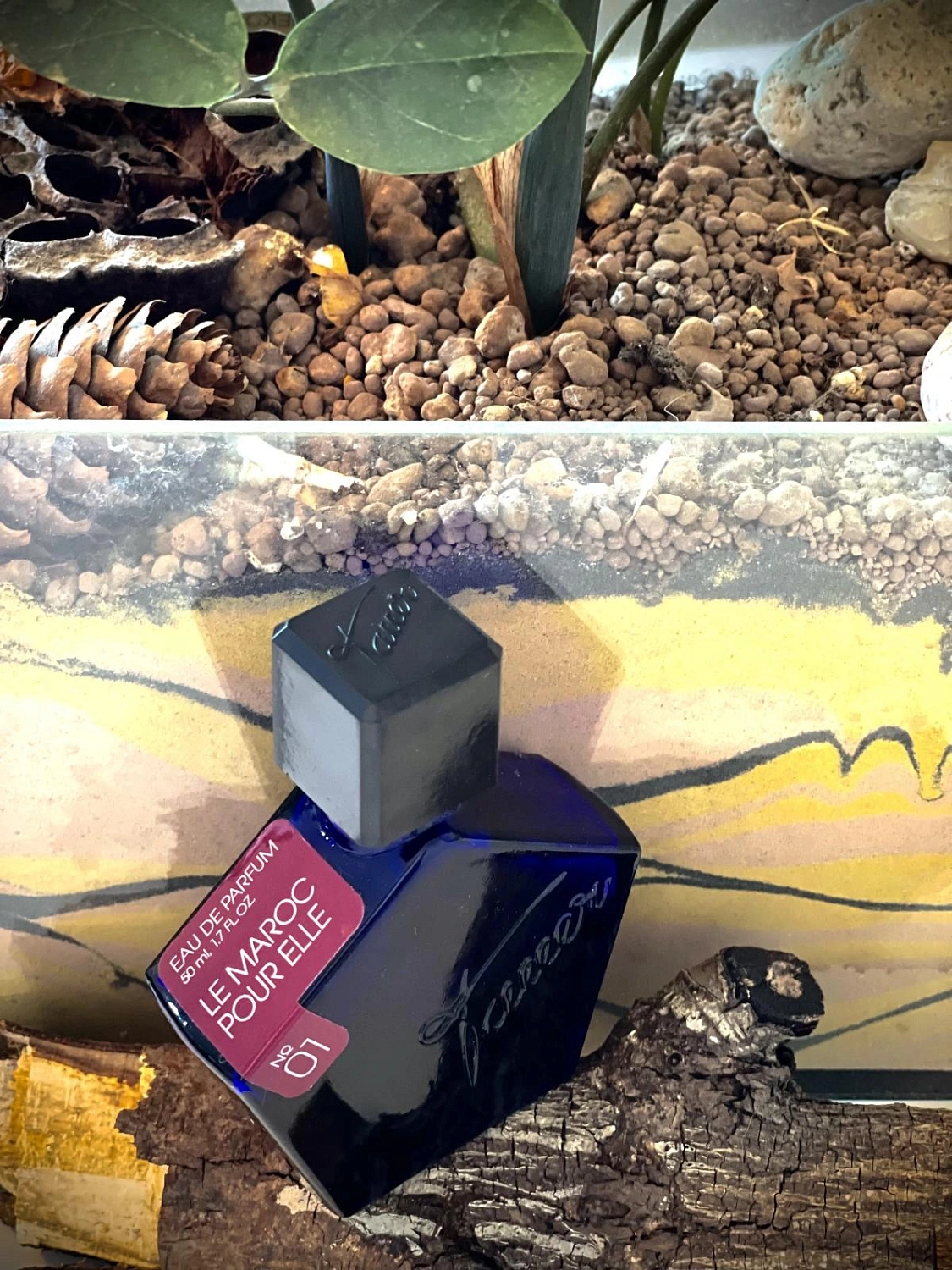 Tauer Perfumes 01 Le Maroc Pour Elle